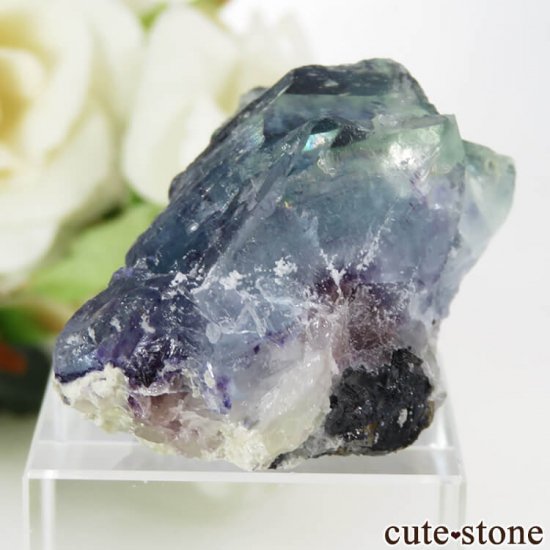  󥴥뻺 ֥롼ե饤Ȥθ 32.4gμ̿2 cute stone