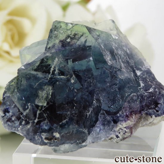  󥴥뻺 ֥롼ե饤Ȥθ 32.4gμ̿3 cute stone