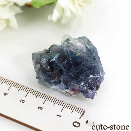  󥴥뻺 ֥롼ե饤Ȥθ 32.4gμ̿4 cute stone