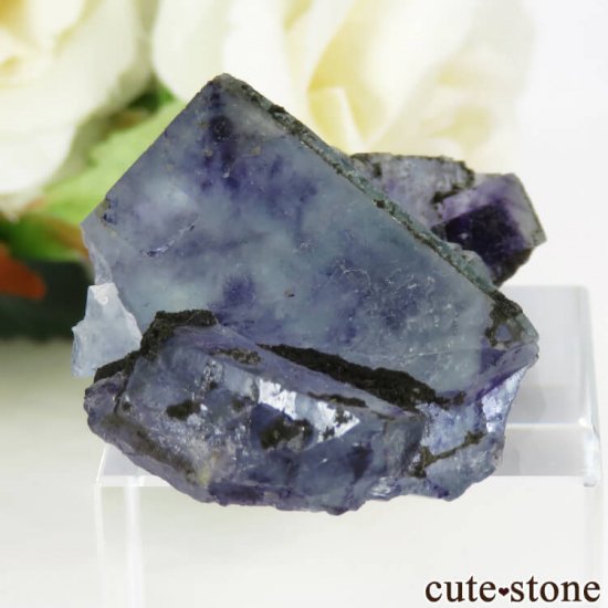  󥴥뻺 ֥롼ե饤Ȥθ 22gμ̿0 cute stone
