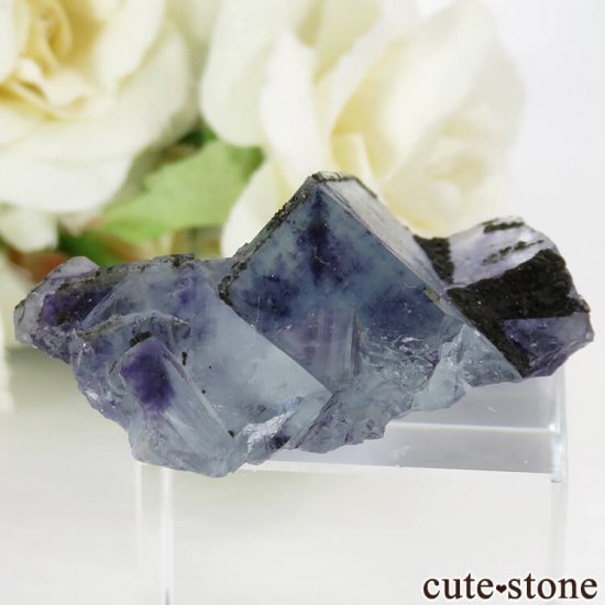  󥴥뻺 ֥롼ե饤Ȥθ 22gμ̿1 cute stone