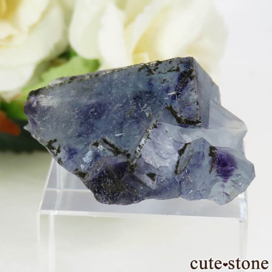  󥴥뻺 ֥롼ե饤Ȥθ 22gμ̿3 cute stone