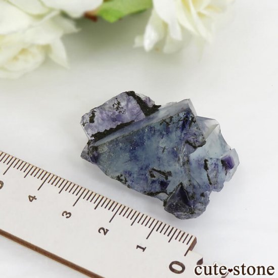  󥴥뻺 ֥롼ե饤Ȥθ 22gμ̿4 cute stone