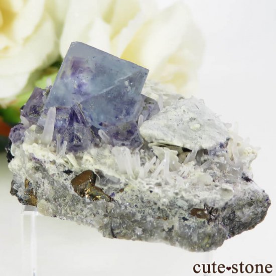  󥴥뻺 ֥롼ե饤Ȥθ 36.3gμ̿0 cute stone