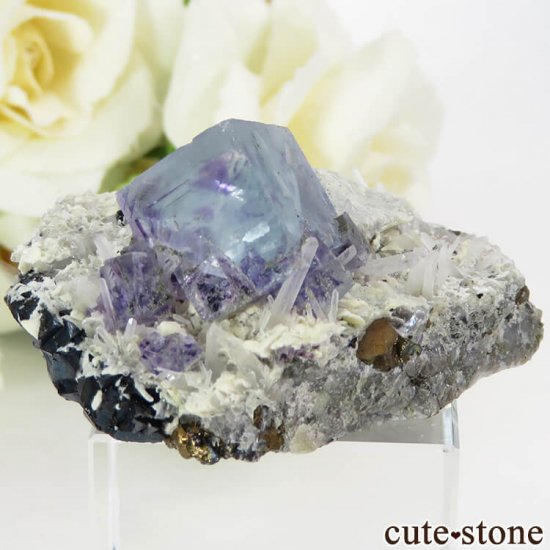  󥴥뻺 ֥롼ե饤Ȥθ 36.3gμ̿1 cute stone