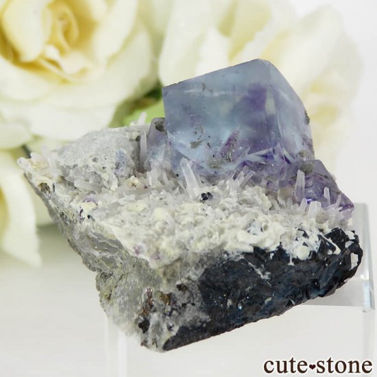  󥴥뻺 ֥롼ե饤Ȥθ 36.3gμ̿2 cute stone