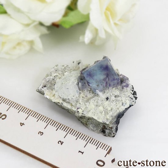  󥴥뻺 ֥롼ե饤Ȥθ 36.3gμ̿3 cute stone