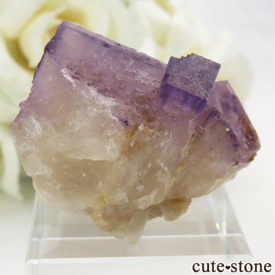 Υ Cave-in-Rock ե饤ȡʷСˤθ 32g μ̿2 cute stone