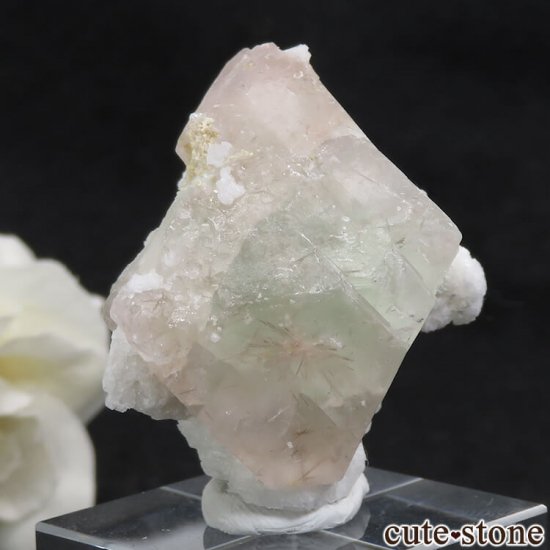ѥ ɥ ԥ󥯥꡼ե饤Ȥθ 31.6g μ̿0 cute stone
