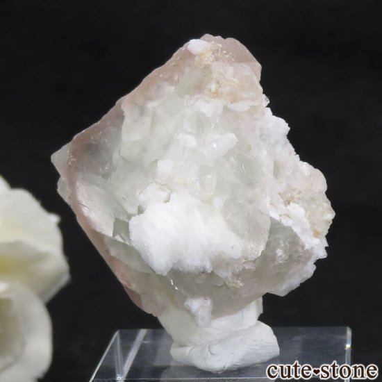 ѥ ɥ ԥ󥯥꡼ե饤Ȥθ 31.6g μ̿2 cute stone
