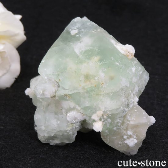ѥ ɥ ꡼ե饤Ȥθ 88.5gμ̿1 cute stone