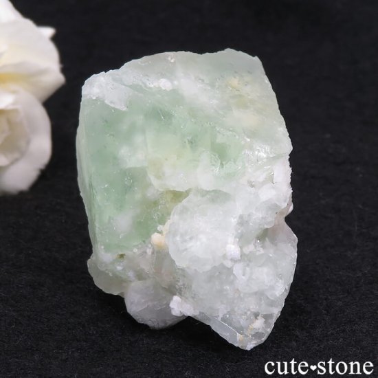 ѥ ɥ ꡼ե饤Ȥθ 88.5gμ̿2 cute stone