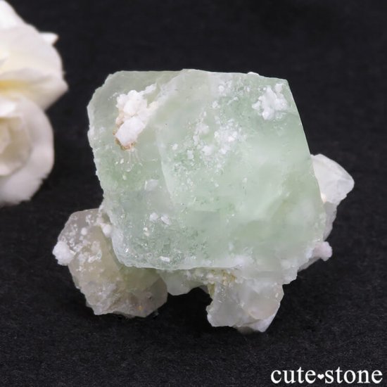 ѥ ɥ ꡼ե饤Ȥθ 88.5gμ̿3 cute stone