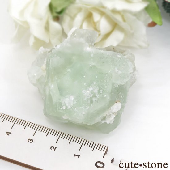 ѥ ɥ ꡼ե饤Ȥθ 88.5gμ̿4 cute stone