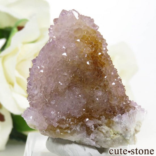 եꥫ ġʥ᥸ȡˤθ 27.3gμ̿0 cute stone