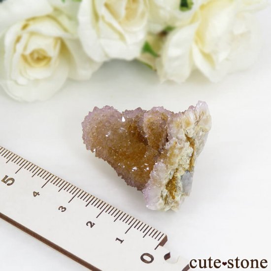 եꥫ ġʥ᥸ȡˤθ 27.3gμ̿1 cute stone
