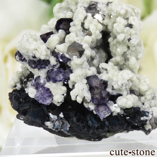 󥴥뼫 Yindu Ag-Pb-Zn deposit ե饤Ȥθ 17.2gμ̿1 cute stone