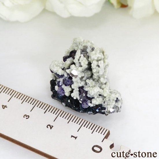 󥴥뼫 Yindu Ag-Pb-Zn deposit ե饤Ȥθ 17.2gμ̿2 cute stone