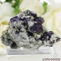 󥴥뼫 Yindu Ag-Pb-Zn deposit ե饤Ȥθ 14.4gβ