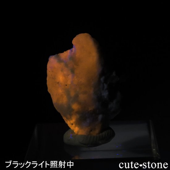 ե˥ ϥåޥʥȤθСɸܡ3.4gμ̿0 cute stone