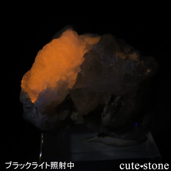 ե˥ ϥåޥʥȤθСɸܡ19.9gμ̿0 cute stone