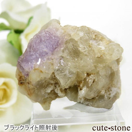 ե˥ ϥåޥʥȤθСɸܡ19.9gμ̿1 cute stone