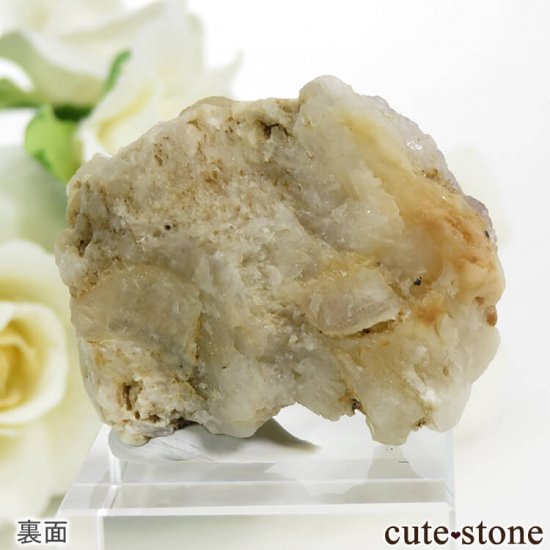 ե˥ ϥåޥʥȤθСɸܡ19.9gμ̿2 cute stone