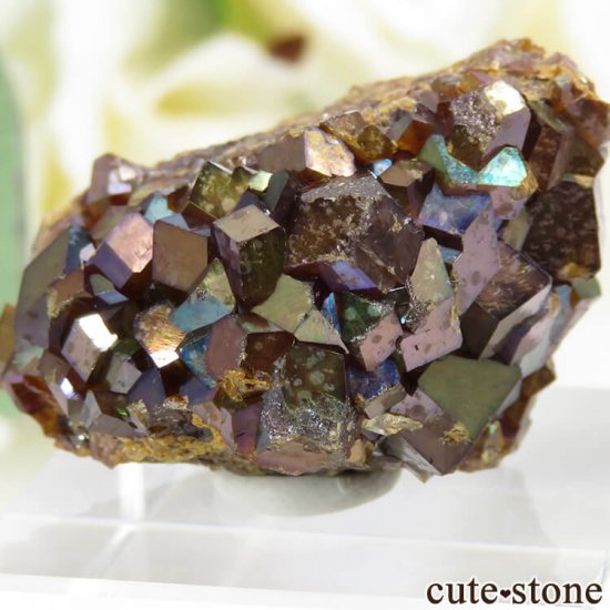 ŷ¼쥤ܡͥåȤդ뾽ʸС 24.4g μ̿0 cute stone