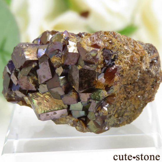 ŷ¼쥤ܡͥåȤդ뾽ʸС 24.4g μ̿1 cute stone