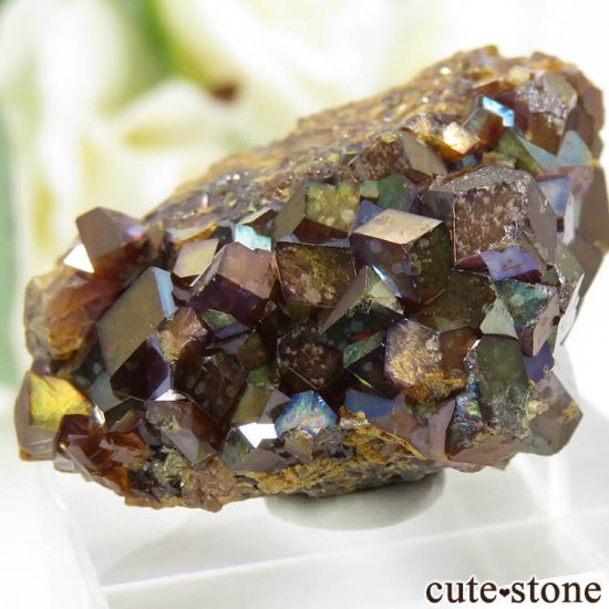 ŷ¼쥤ܡͥåȤդ뾽ʸС 24.4g μ̿3 cute stone