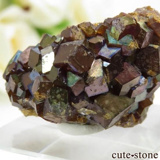 天川村レインボーガーネットの母岩付き結晶（原石） 24.4g - cute stone -