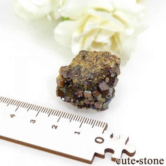 ŷ¼쥤ܡͥåȤդ뾽ʸС 24.4g μ̿5 cute stone