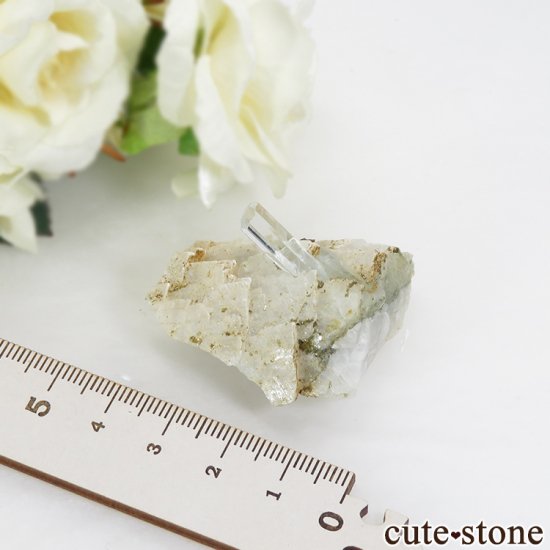 ѥ ɥ ޥդ뾽ʸС26.5gμ̿4 cute stone