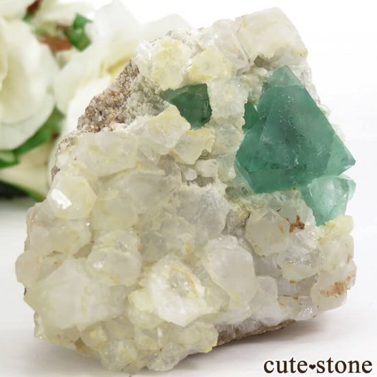 եꥫ ȬΥ꡼ե饤ȡĤդ뾽ʸС78gμ̿0 cute stone