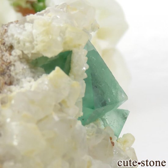 եꥫ ȬΥ꡼ե饤ȡĤդ뾽ʸС78gμ̿3 cute stone