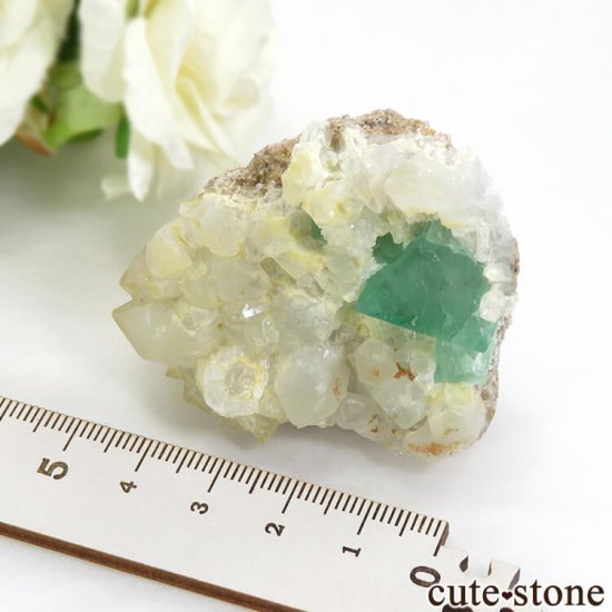 եꥫ ȬΥ꡼ե饤ȡĤդ뾽ʸС78gμ̿4 cute stone