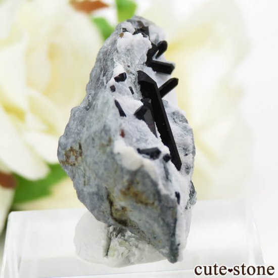 ե˥ ͥץʥȤդ뾽ʸС 8.2gμ̿0 cute stone
