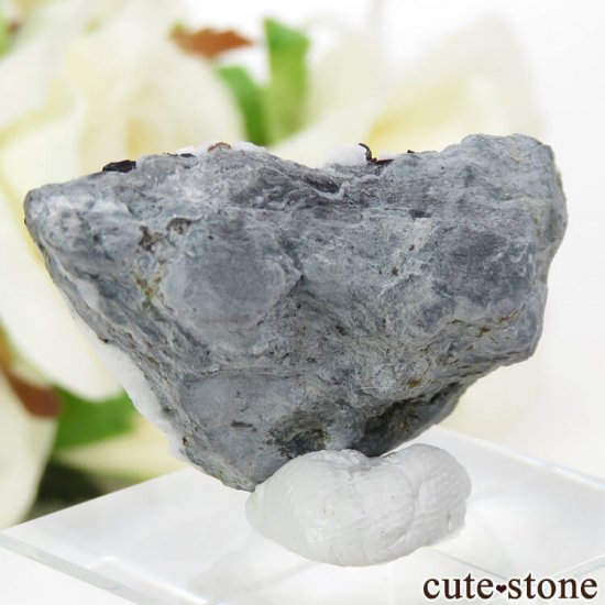 ե˥ ͥץʥȤդ뾽ʸС 8.2gμ̿1 cute stone