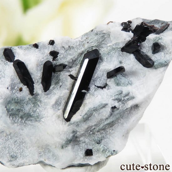 ե˥ ͥץʥȤդ뾽ʸС 8.2gμ̿2 cute stone