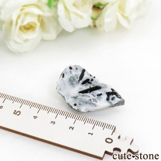 ե˥ ͥץʥȤդ뾽ʸС 8.2gμ̿5 cute stone