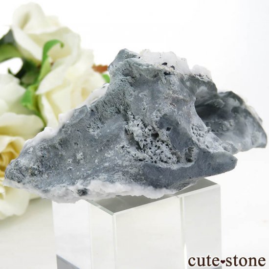 ե˥ ٥˥ȥȡͥץʥȤդ뾽ʸС 49.8gμ̿1 cute stone