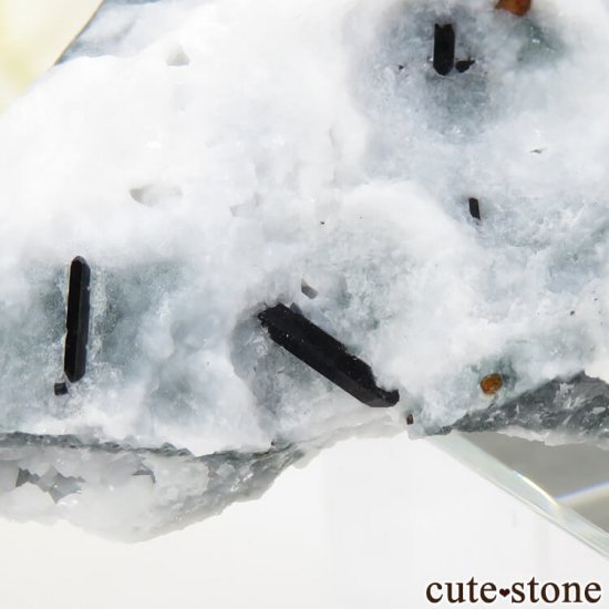 ե˥ ٥˥ȥȡͥץʥȤդ뾽ʸС 49.8gμ̿4 cute stone