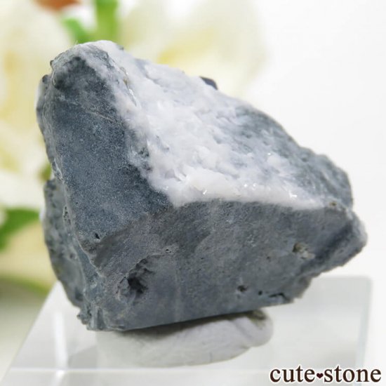 ե˥ ٥˥ȥȡͥץʥȤդ뾽ʸС 15.7gμ̿0 cute stone