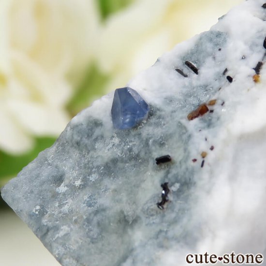 ե˥ ٥˥ȥȡͥץʥȤդ뾽ʸС 15.7gμ̿2 cute stone