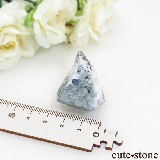 ե˥ ٥˥ȥȡͥץʥȤդ뾽ʸС 15.7gμ̿4 cute stone
