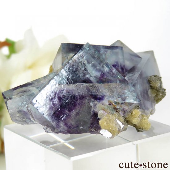 䥪󥷥 ѡץߥ֥롼ե饤Ȥθ 21.8gμ̿0 cute stone