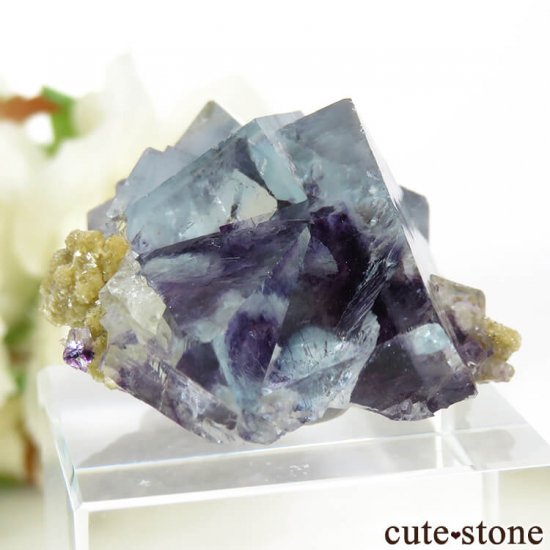 䥪󥷥 ѡץߥ֥롼ե饤Ȥθ 21.8gμ̿1 cute stone