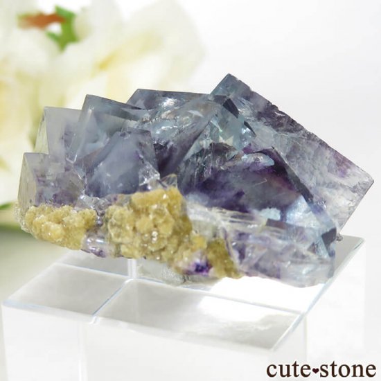 䥪󥷥 ѡץߥ֥롼ե饤Ȥθ 21.8gμ̿2 cute stone