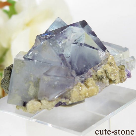 䥪󥷥 ѡץߥ֥롼ե饤Ȥθ 21.8gμ̿3 cute stone