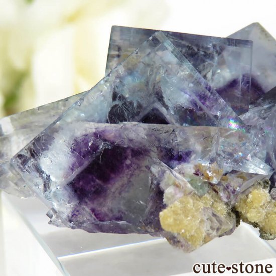 䥪󥷥 ѡץߥ֥롼ե饤Ȥθ 21.8gμ̿4 cute stone